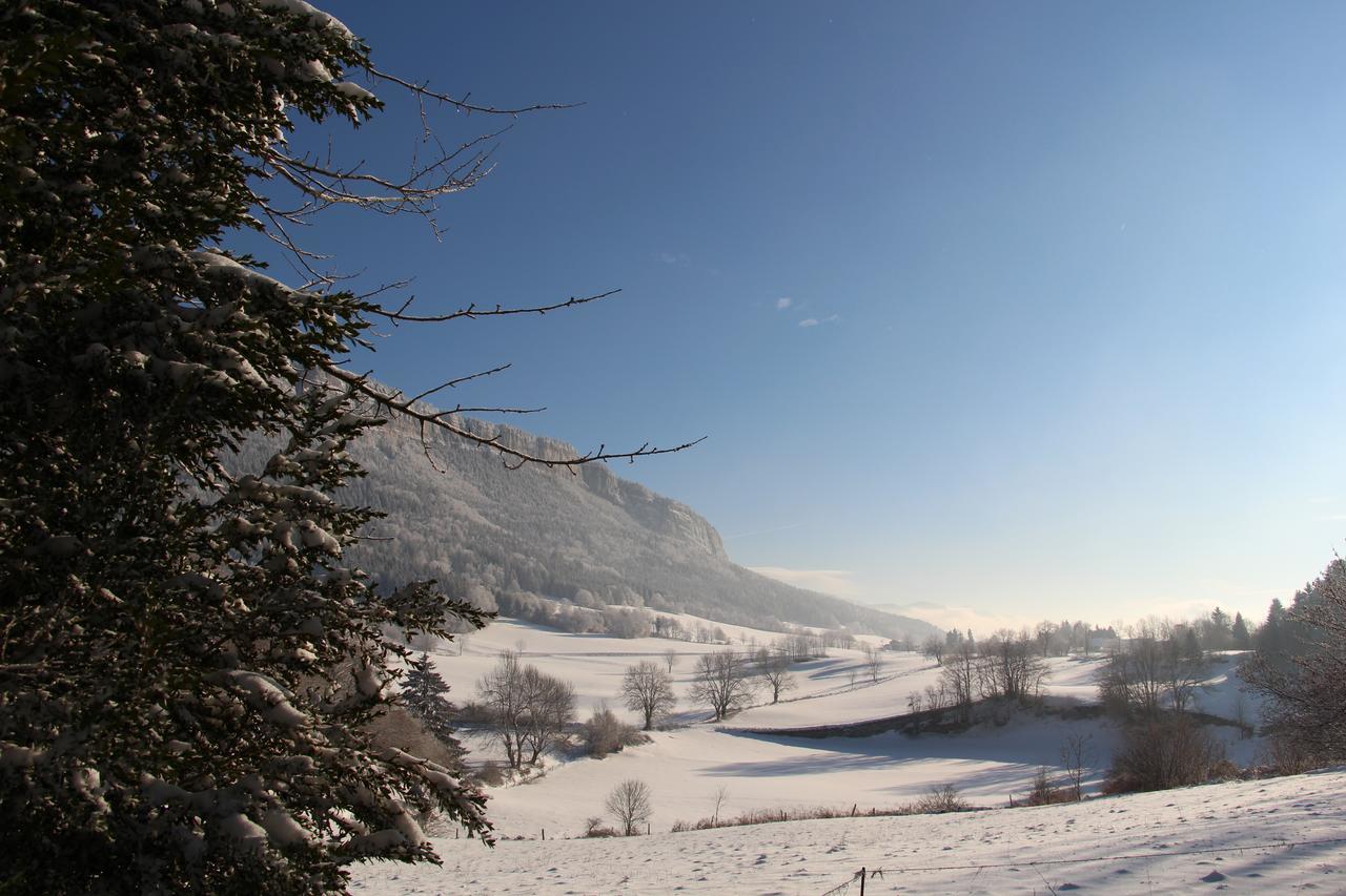 Cafe Brochier Hotel Saint-Julien-en-Vercors Εξωτερικό φωτογραφία